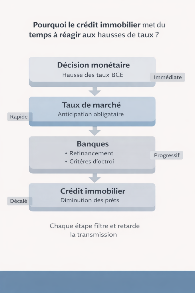 Chaîne de transmission des hausses de taux, de la décision monétaire au crédit immobilier, montrant des délais successifs entre chaque étape
