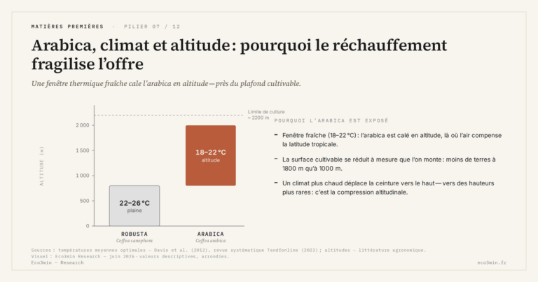 Eco3min — Arabica, climat et altitude : pourquoi le réchauffement fragilise l’offre