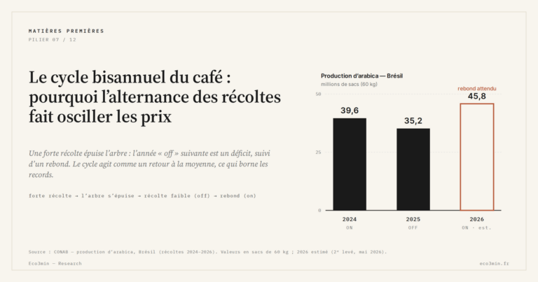 Eco3min — Le cycle bisannuel du café : pourquoi l’alternance des récoltes fait osciller les prix