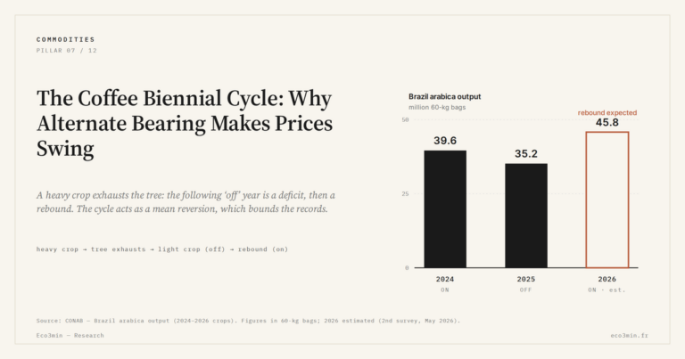 Eco3min — The Coffee Biennial Cycle: Why Alternate Bearing Makes Prices Swing