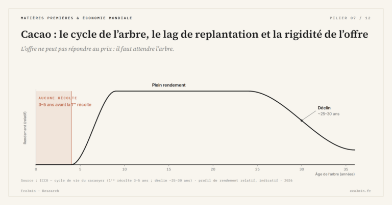 Eco3min — Cacao : le cycle de l’arbre, le lag de replantation et la rigidité de l’offre
