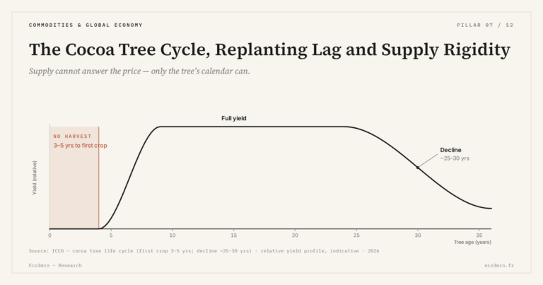 Eco3min — The Cocoa Tree Cycle, Replanting Lag and Supply Rigidity