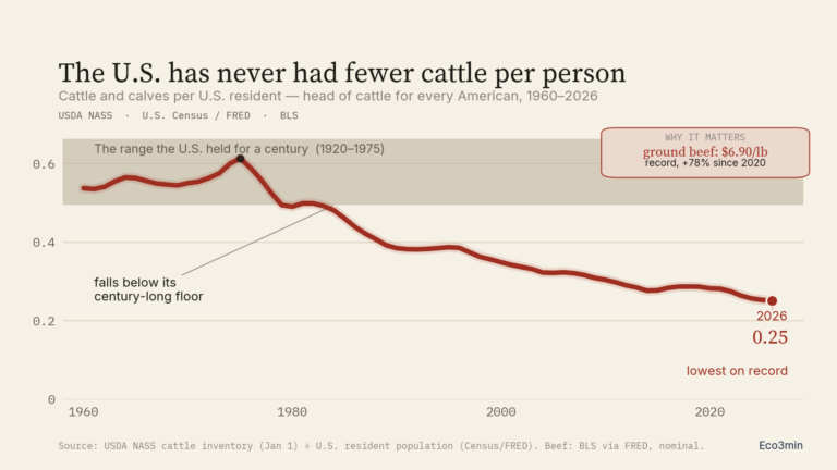 US Cattle Herd Hits a 75-Year Low as Beef Sets Records